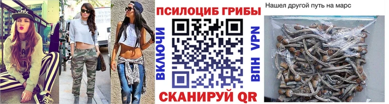 магазин продажи   Керчь  Галлюциногенные грибы мухоморы 